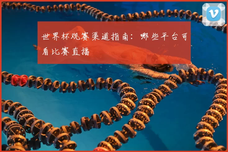 世界杯观赛渠道指南：哪些平台可看比赛直播