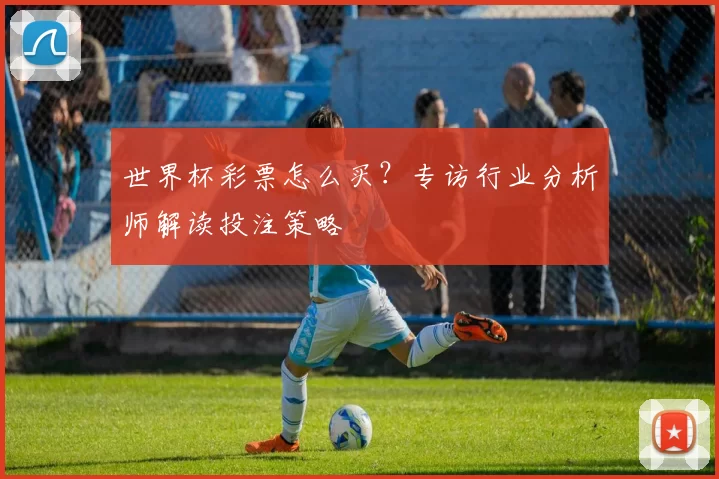 世界杯彩票怎么买？专访行业分析师解读投注策略