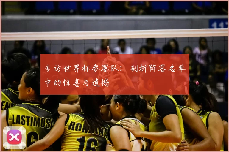 专访世界杯参赛队：剖析阵容名单中的惊喜与遗憾
