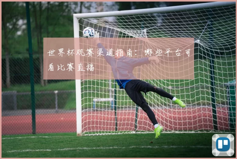 世界杯观赛渠道指南:哪些平台可看比赛直播