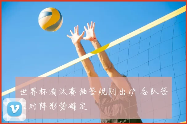 世界杯淘汰赛抽签规则出炉 各队签位对阵形势确定