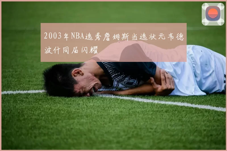 2003年NBA选秀詹姆斯当选状元韦德波什同届闪耀