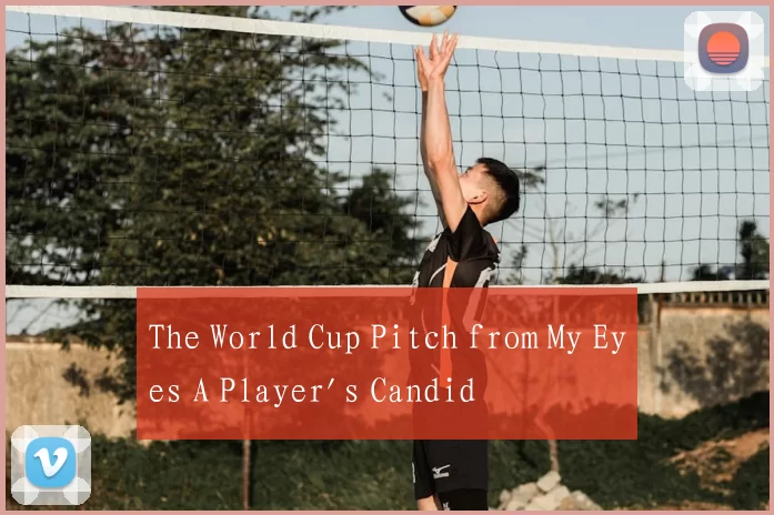 The World Cup Pitch from My Eyes A Player's Candid