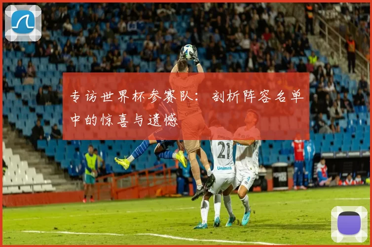 专访世界杯参赛队：剖析阵容名单中的惊喜与遗憾