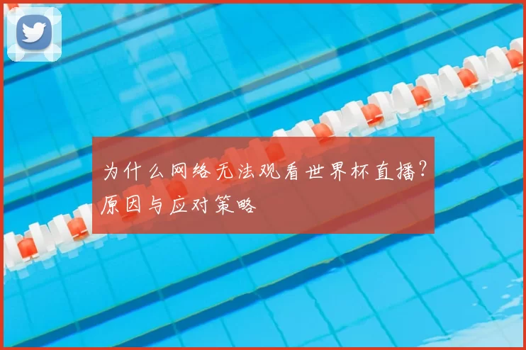 为什么网络无法观看世界杯直播？原因与应对策略