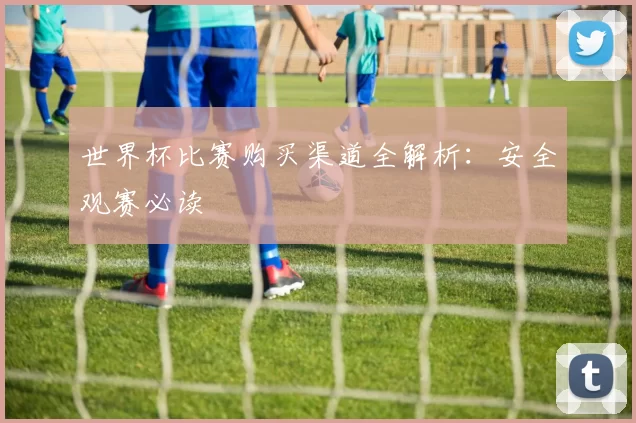 世界杯比赛购买渠道全解析：安全观赛必读